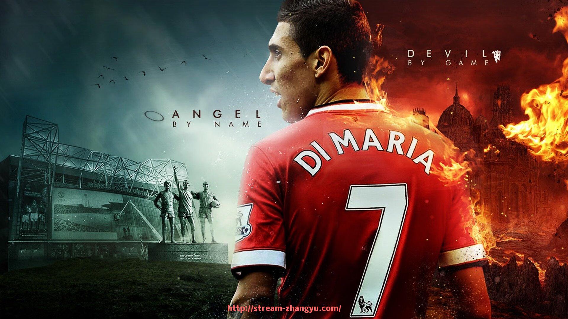 章鱼直播-广州体育类健身器材公司分布与行业发展趋势